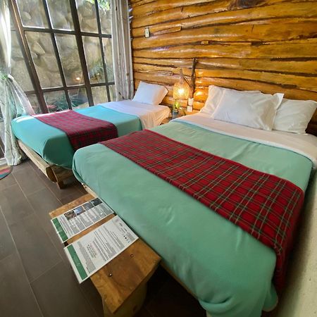 Eco Quechua Lodge Santa Teresa  Eksteriør billede