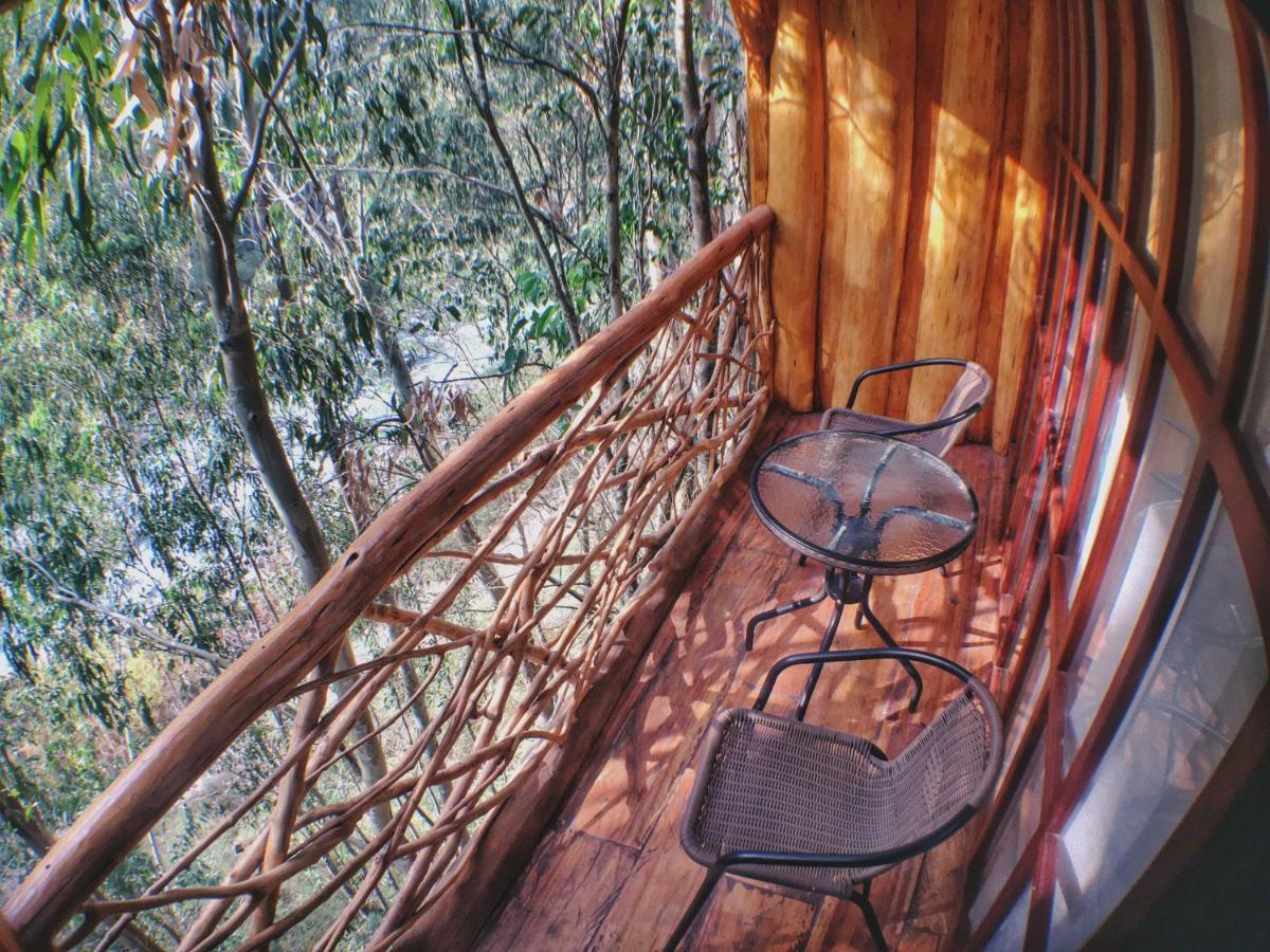 Eco Quechua Lodge Santa Teresa  Eksteriør billede