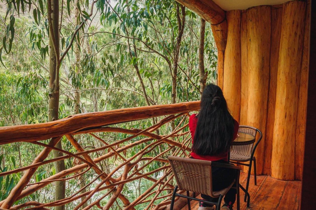 Eco Quechua Lodge Santa Teresa  Eksteriør billede