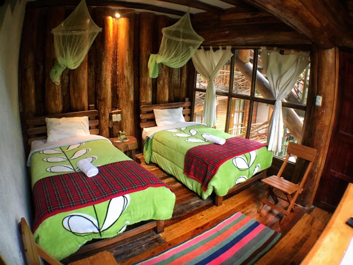 Eco Quechua Lodge Santa Teresa  Eksteriør billede