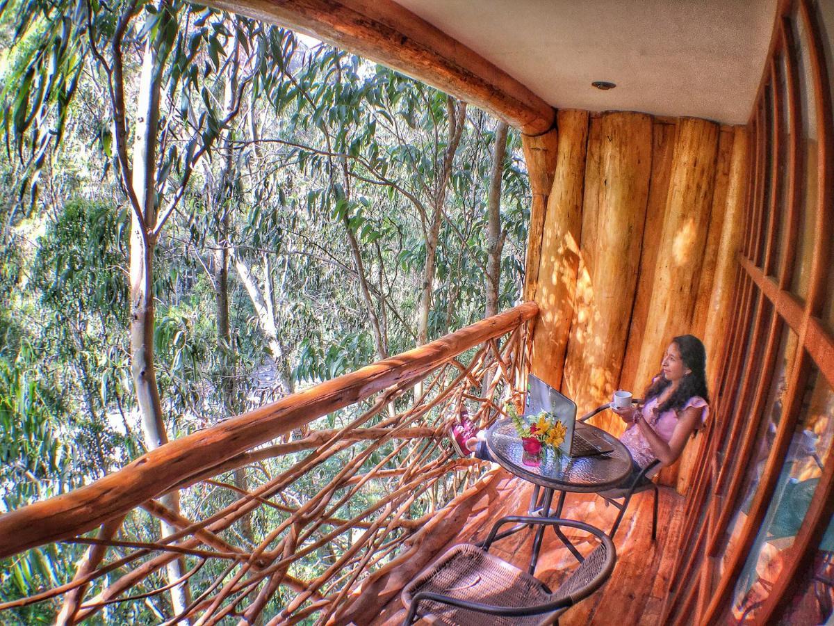Eco Quechua Lodge Santa Teresa  Eksteriør billede