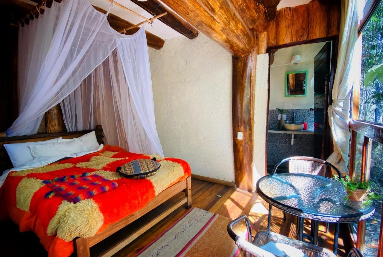 Eco Quechua Lodge Santa Teresa  Eksteriør billede