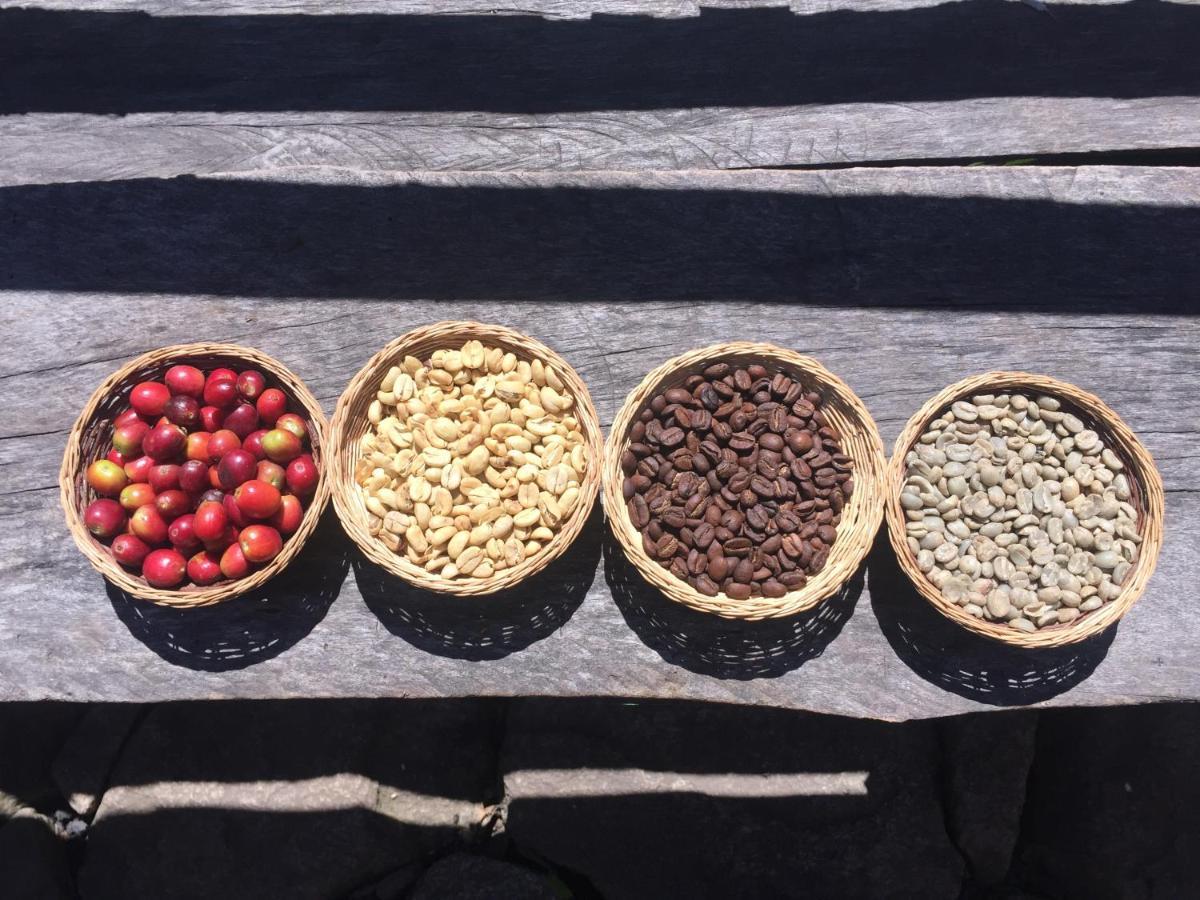 Eco Quechua Lodge Santa Teresa  Eksteriør billede